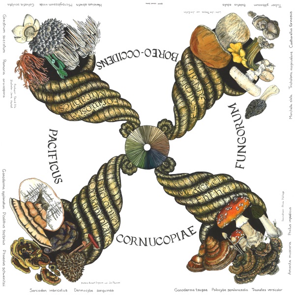 Cornucopea Fungorum Colored